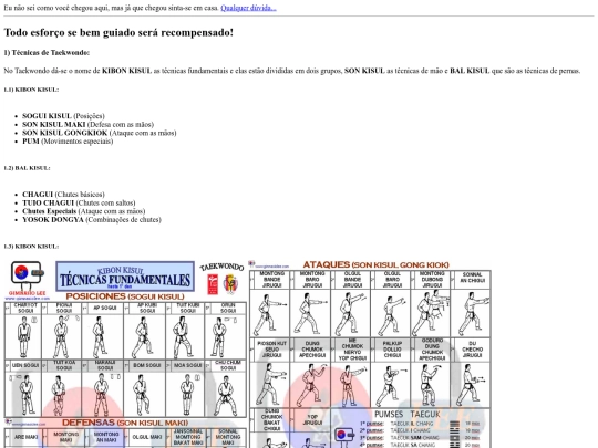 taekwondo screenshot