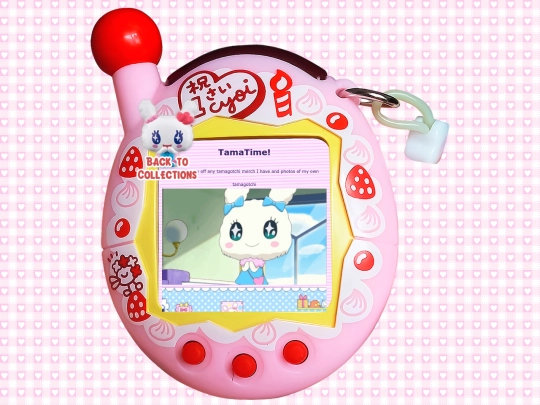tamatime screenshot