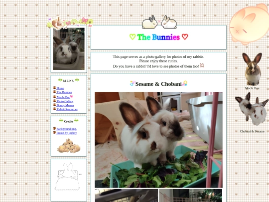 thebunnies/bunphotos screenshot