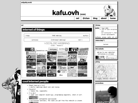 net screenshot