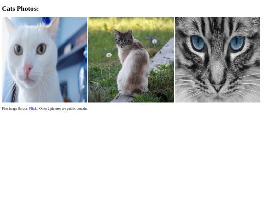 Pictures/catPhotos screenshot