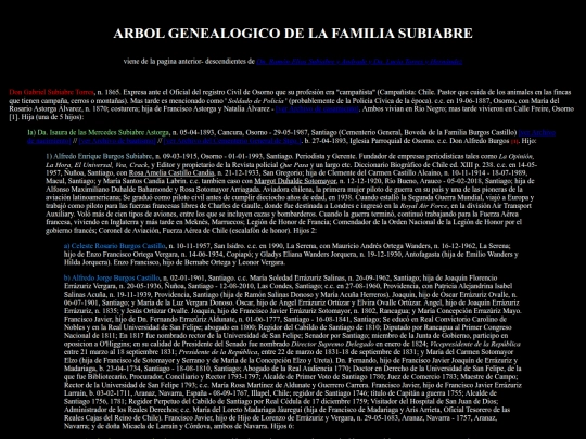 BurgosSubiabre screenshot