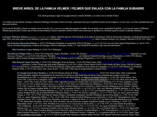 Felmer screenshot