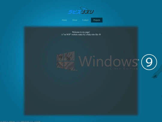 projects screenshot