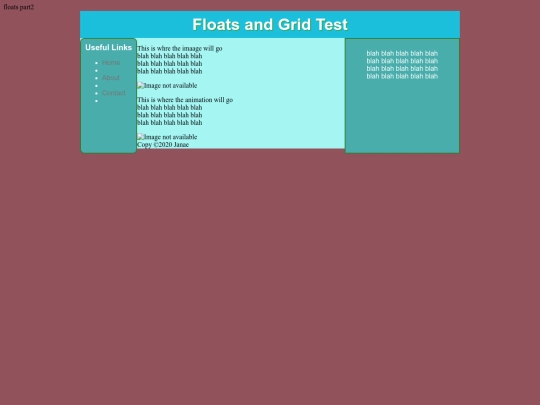 Janae_project4 screenshot