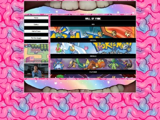 pokemon screenshot