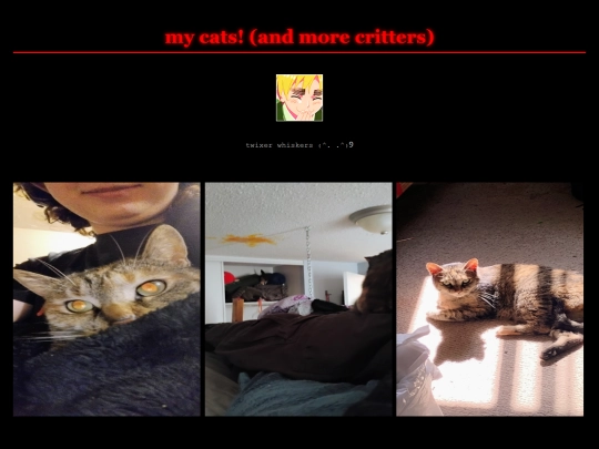 KITTYCATZ screenshot