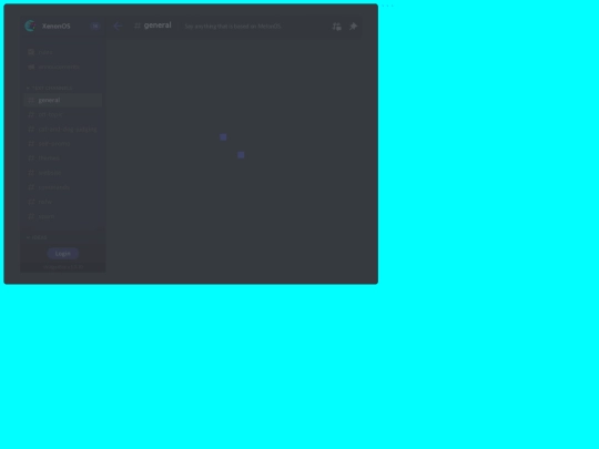 apps/discordwidget screenshot