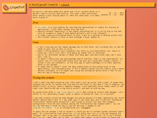 stuff/trying_nixos screenshot