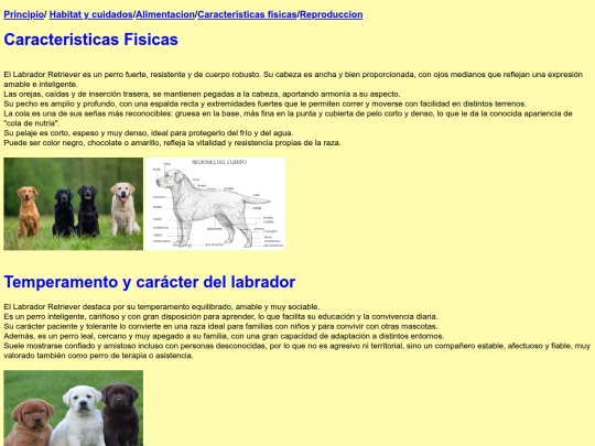 perro screenshot