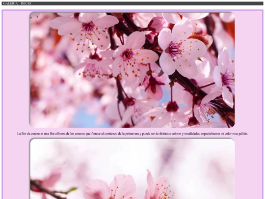 PAG666 screenshot