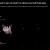 The web site of possumpretender avatar