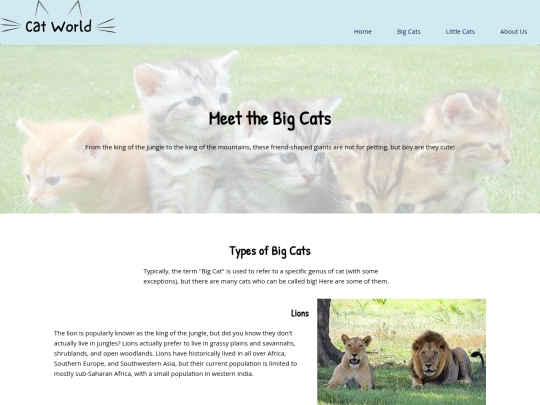 big-cats screenshot