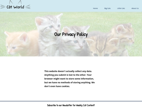 privacy-policy screenshot