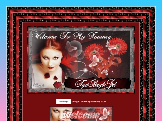 tyzmain screenshot