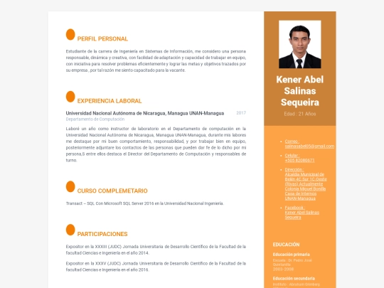 Curriculum/MiCv screenshot
