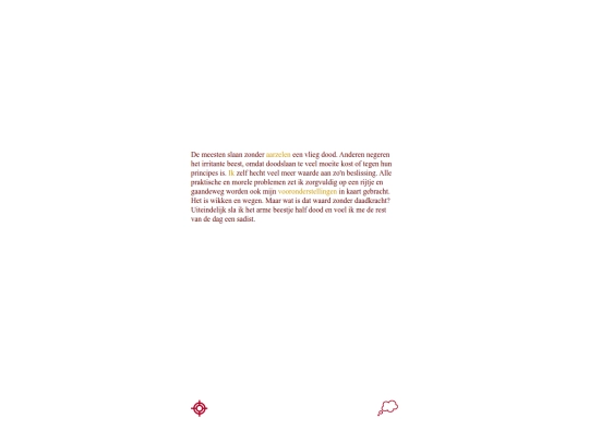 _nobody/January1999/vlieg screenshot