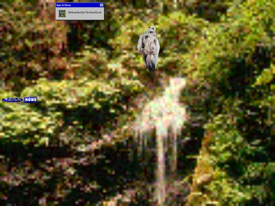 DeadDove screenshot