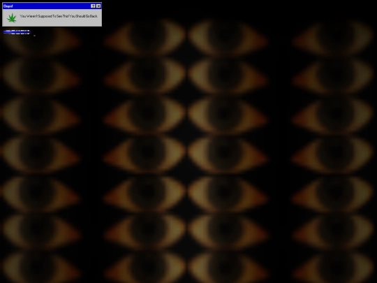 ICanSeeYou screenshot
