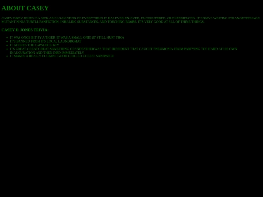aboutcasey screenshot