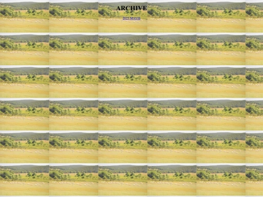 ARCHIVE screenshot