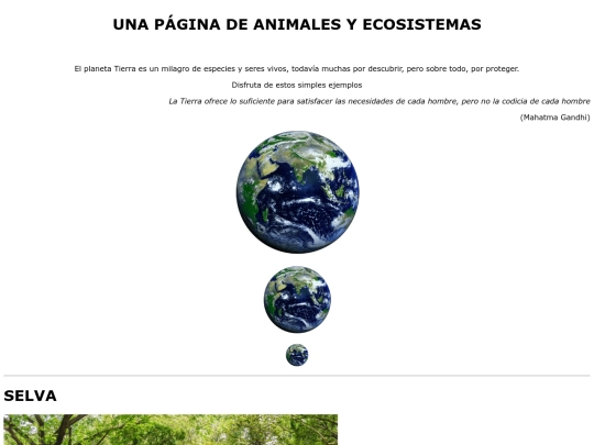 Ejercicio05/ejercicio05 screenshot