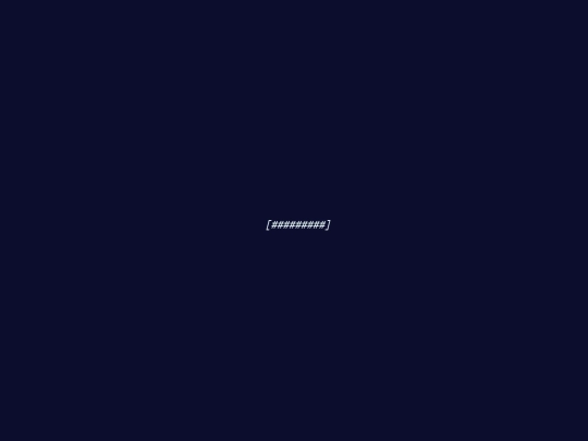 terminal screenshot