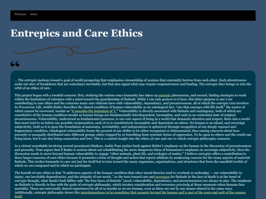 EntrepicsAndCareEthics screenshot