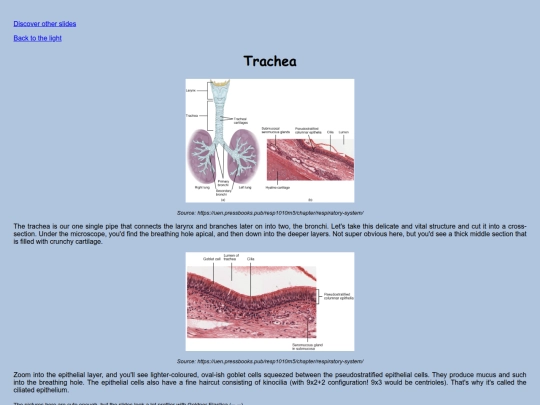 Slides/Trachea screenshot