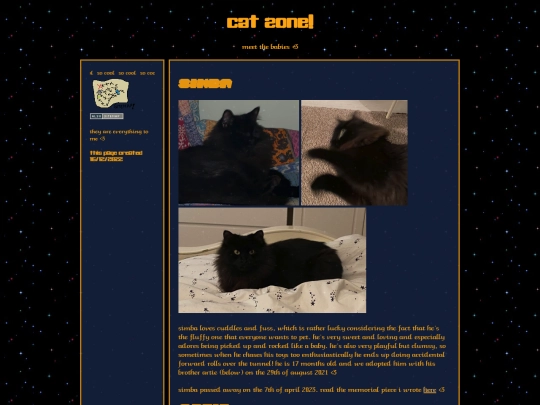cats screenshot