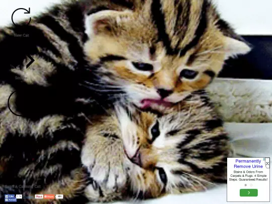 catroulette screenshot
