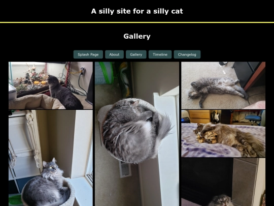 gallery screenshot