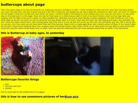 Bcupsabout screenshot