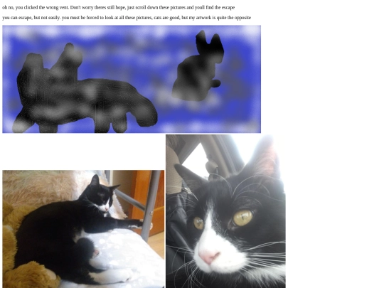 Coolstory screenshot