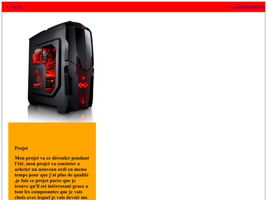 Projet screenshot
