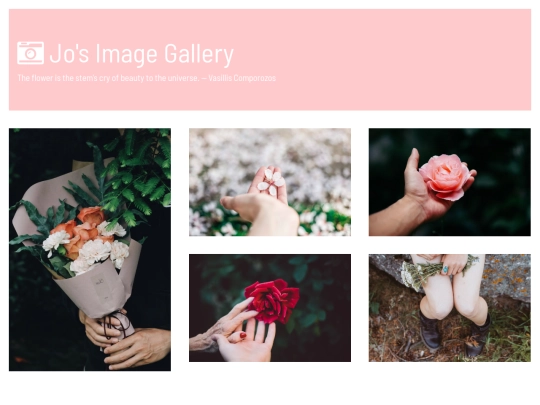photo_gallery screenshot