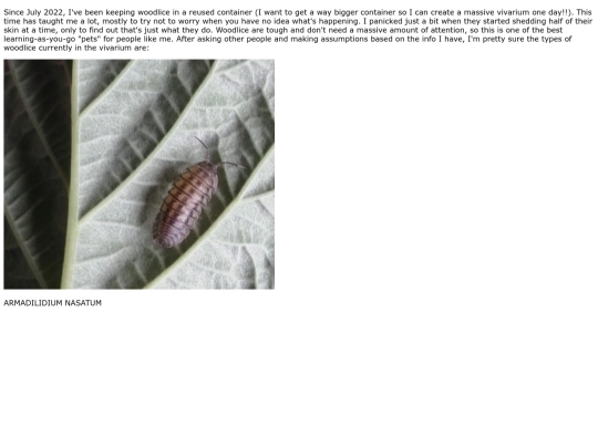 woodlice screenshot