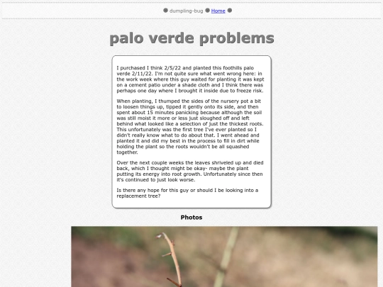 misc/palo_verde_RIP screenshot