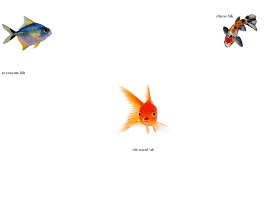 gallery screenshot