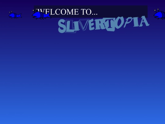 REvamp1 screenshot