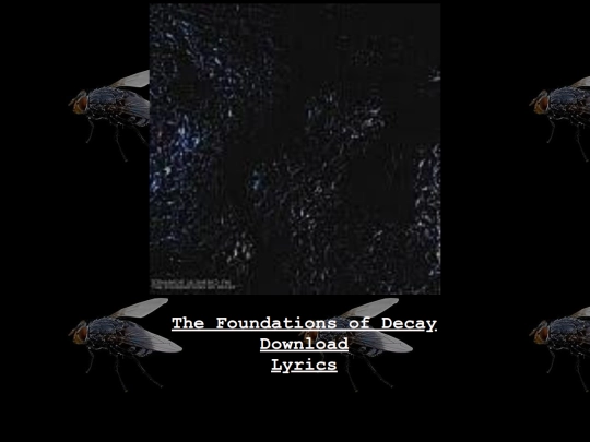 album files/decay screenshot