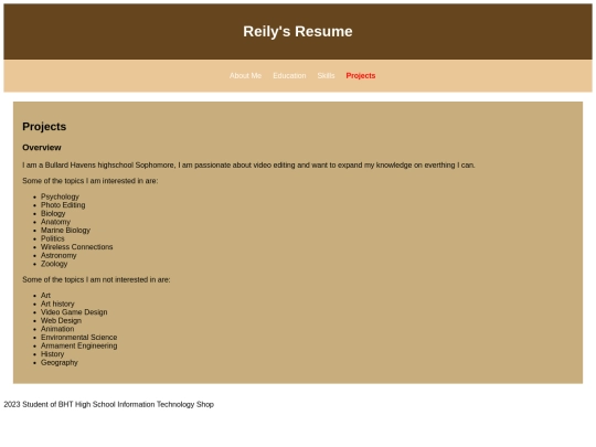 Reily portfolio/projects screenshot