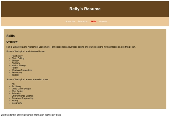 Reily portfolio/skills screenshot