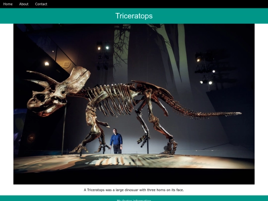 WEB-DESIGN/CSStest screenshot