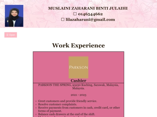 WORK EXPERIENCE screenshot