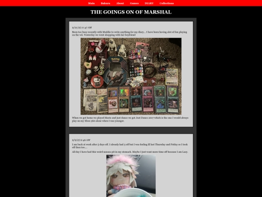 diary screenshot