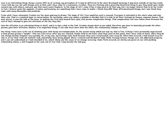 Essay screenshot