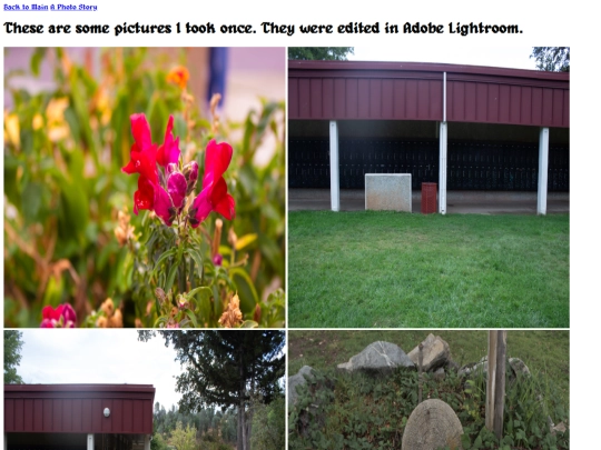 Gallery screenshot