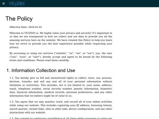 blog/2024/01/01/the_policy screenshot