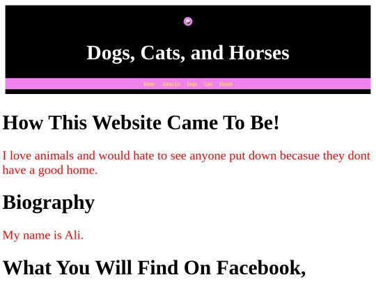 about_us screenshot